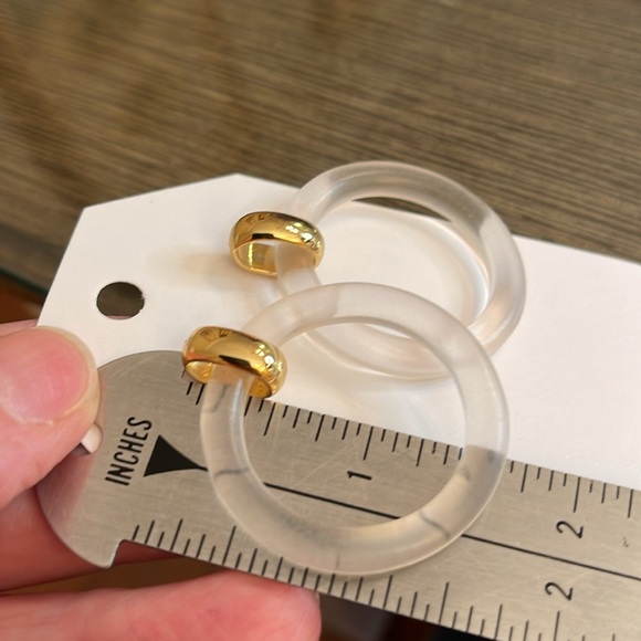 Frosted Lucite Door Knocker Earrings - Picture 15 of 16